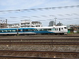 981415 B